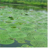 不朽情缘MG官方网站(试玩)游戏登录入口