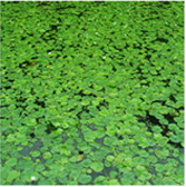 不朽情缘MG官方网站(试玩)游戏登录入口