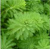 不朽情缘MG官方网站(试玩)游戏登录入口