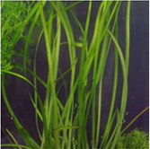 不朽情缘MG官方网站(试玩)游戏登录入口