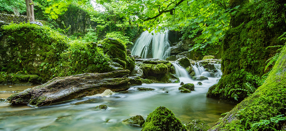 不朽情缘MG官方网站(试玩)游戏登录入口