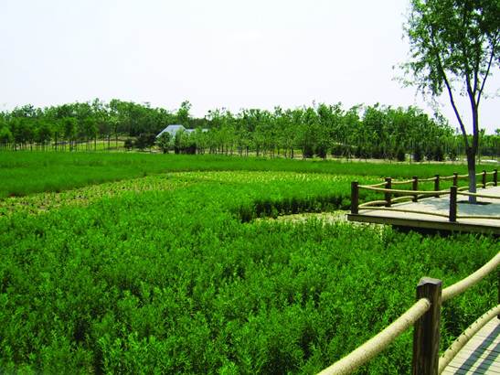 不朽情缘MG官方网站(试玩)游戏登录入口