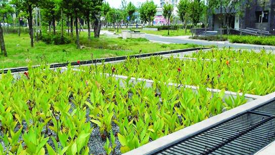 不朽情缘MG官方网站(试玩)游戏登录入口