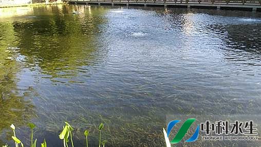 不朽情缘MG官方网站(试玩)游戏登录入口