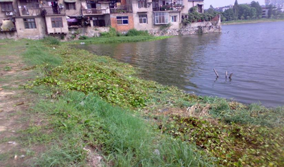 不朽情缘MG官方网站(试玩)游戏登录入口