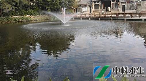 不朽情缘MG官方网站(试玩)游戏登录入口