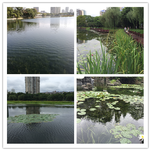 不朽情缘MG官方网站(试玩)游戏登录入口