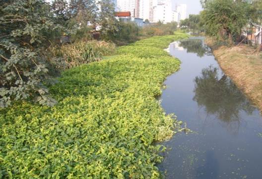 不朽情缘MG官方网站(试玩)游戏登录入口