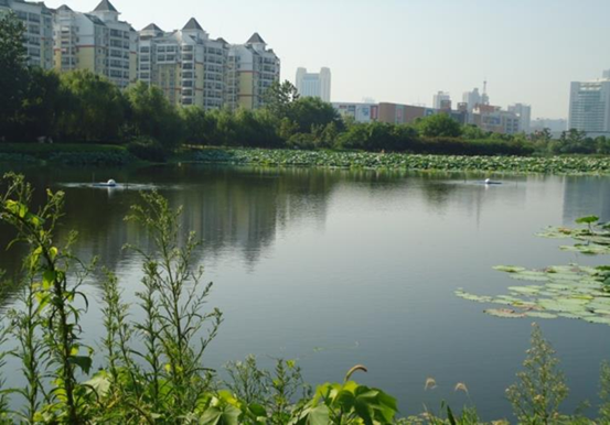 不朽情缘MG官方网站(试玩)游戏登录入口