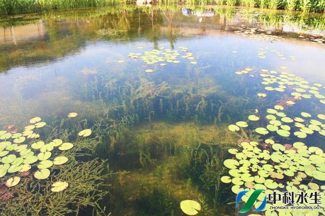 不朽情缘MG官方网站(试玩)游戏登录入口