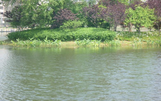 不朽情缘MG官方网站(试玩)游戏登录入口