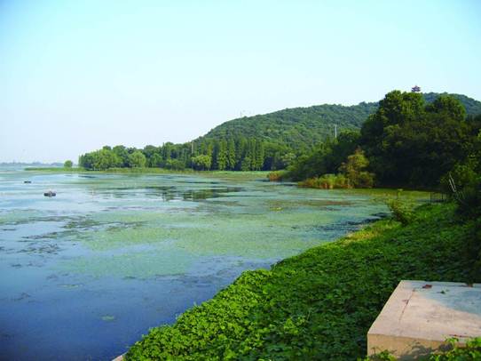 不朽情缘MG官方网站(试玩)游戏登录入口