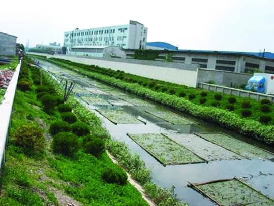 不朽情缘MG官方网站(试玩)游戏登录入口