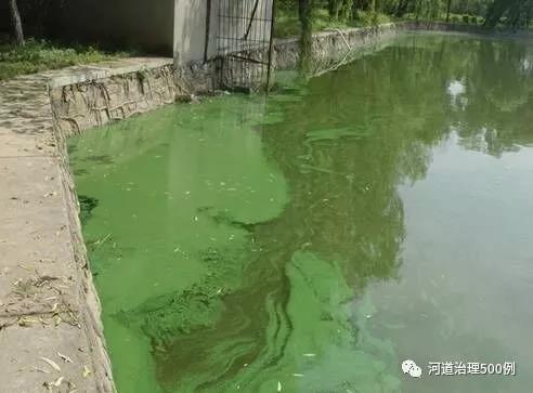 不朽情缘MG官方网站(试玩)游戏登录入口