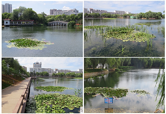 不朽情缘MG官方网站(试玩)游戏登录入口