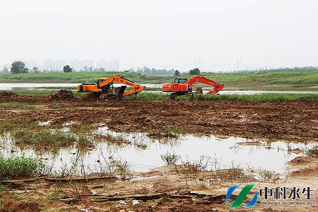 不朽情缘MG官方网站(试玩)游戏登录入口