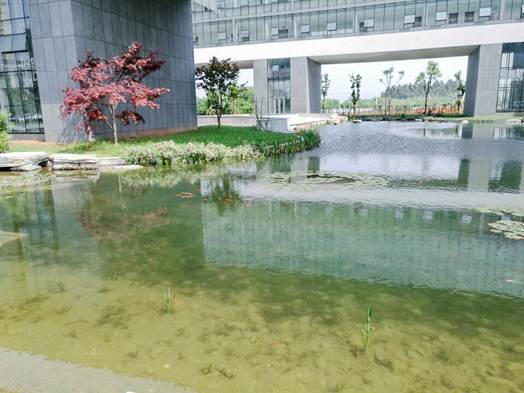 不朽情缘MG官方网站(试玩)游戏登录入口