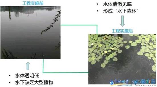 不朽情缘MG官方网站(试玩)游戏登录入口