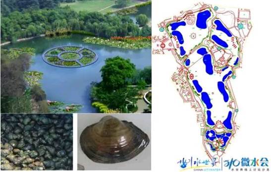 不朽情缘MG官方网站(试玩)游戏登录入口