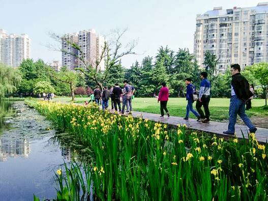 不朽情缘MG官方网站(试玩)游戏登录入口