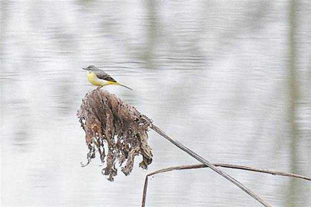 不朽情缘MG官方网站(试玩)游戏登录入口