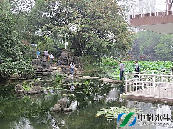 不朽情缘MG官方网站(试玩)游戏登录入口