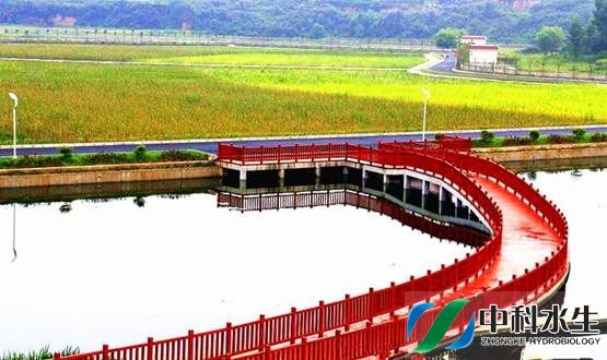 不朽情缘MG官方网站(试玩)游戏登录入口