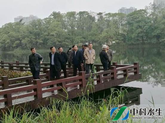 不朽情缘MG官方网站(试玩)游戏登录入口