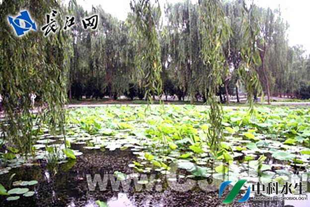 不朽情缘MG官方网站(试玩)游戏登录入口