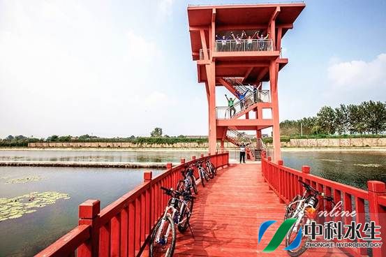 不朽情缘MG官方网站(试玩)游戏登录入口