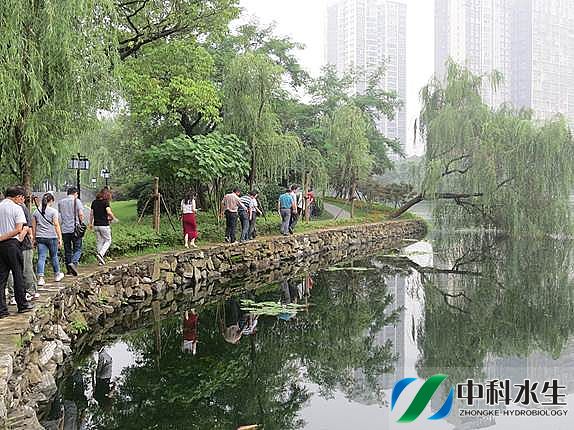 不朽情缘MG官方网站(试玩)游戏登录入口