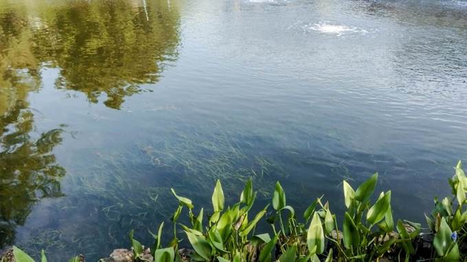 不朽情缘MG官方网站(试玩)游戏登录入口