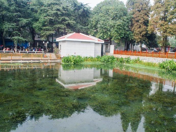 不朽情缘MG官方网站(试玩)游戏登录入口