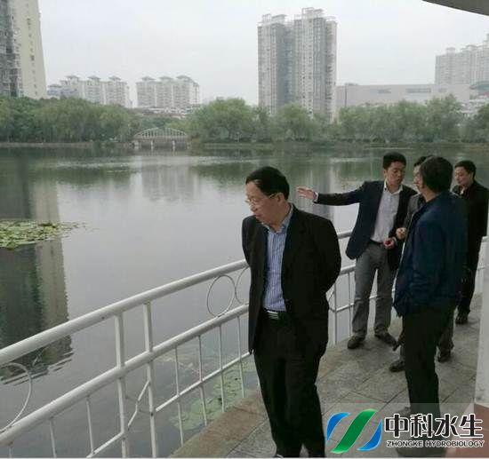 不朽情缘MG官方网站(试玩)游戏登录入口