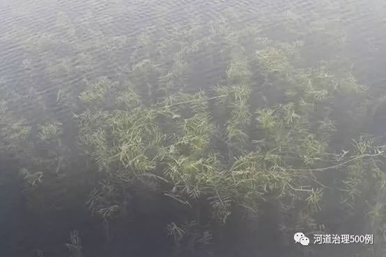 不朽情缘MG官方网站(试玩)游戏登录入口