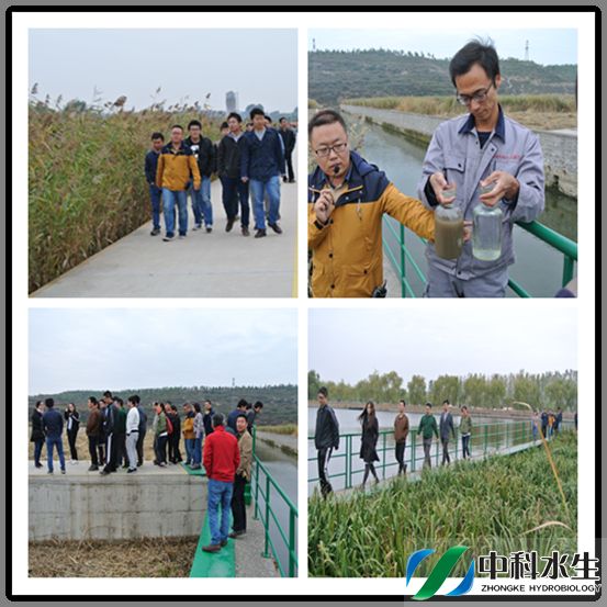 不朽情缘MG官方网站(试玩)游戏登录入口