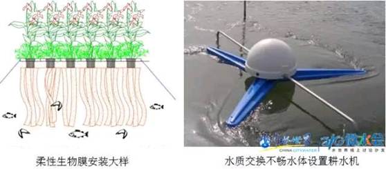 不朽情缘MG官方网站(试玩)游戏登录入口