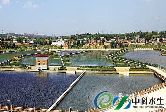 不朽情缘MG官方网站(试玩)游戏登录入口