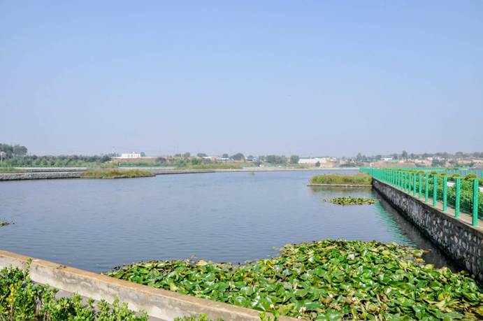 不朽情缘MG官方网站(试玩)游戏登录入口