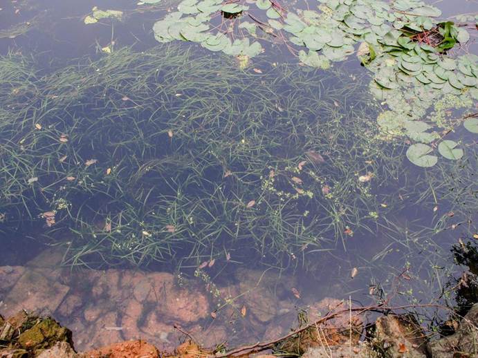 不朽情缘MG官方网站(试玩)游戏登录入口