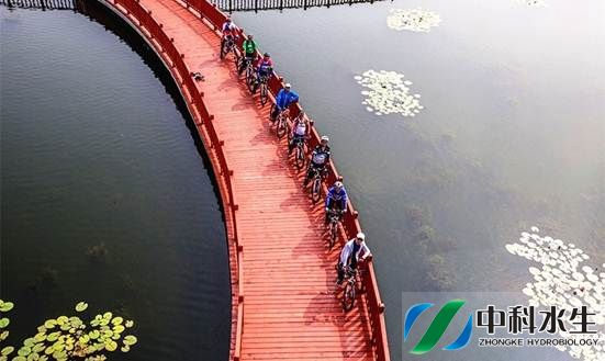 不朽情缘MG官方网站(试玩)游戏登录入口