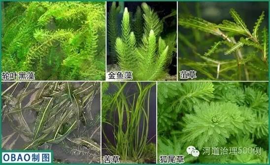 不朽情缘MG官方网站(试玩)游戏登录入口