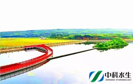 不朽情缘MG官方网站(试玩)游戏登录入口