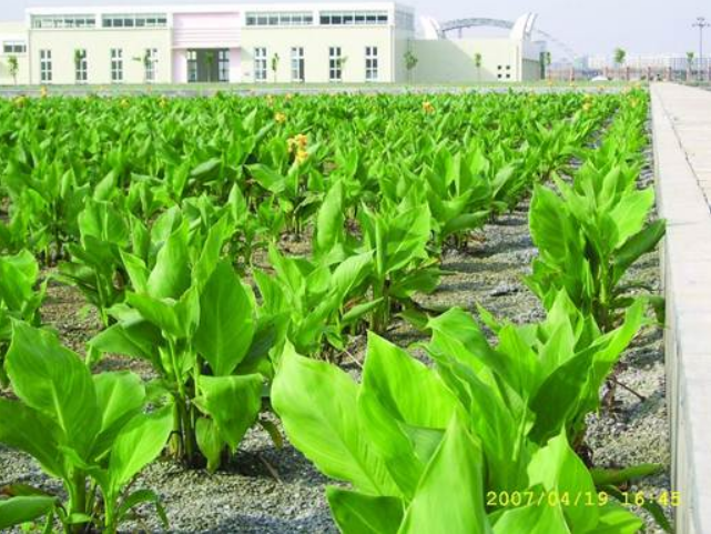 不朽情缘MG官方网站(试玩)游戏登录入口