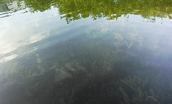 不朽情缘MG官方网站(试玩)游戏登录入口