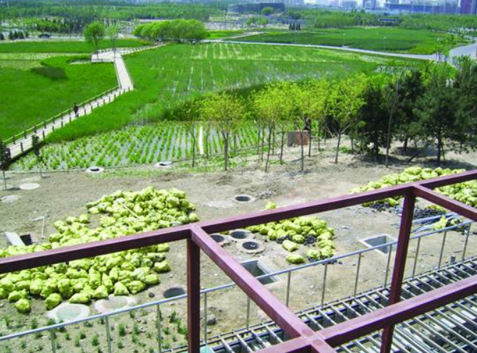 不朽情缘MG官方网站(试玩)游戏登录入口