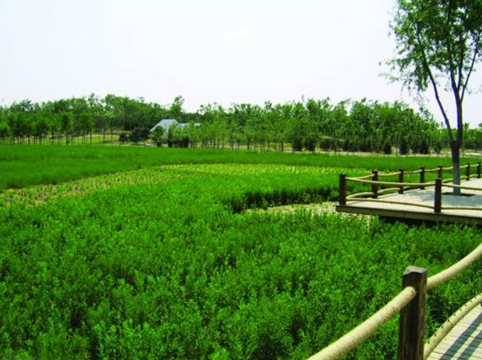 不朽情缘MG官方网站(试玩)游戏登录入口