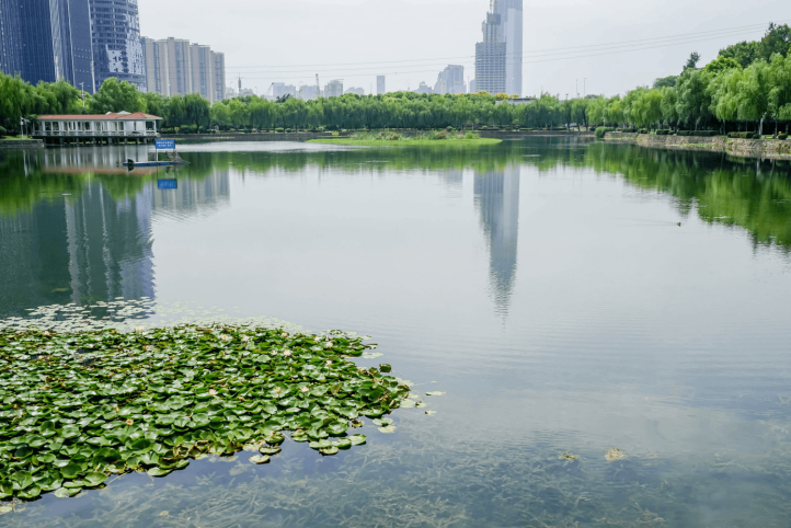 不朽情缘MG官方网站(试玩)游戏登录入口