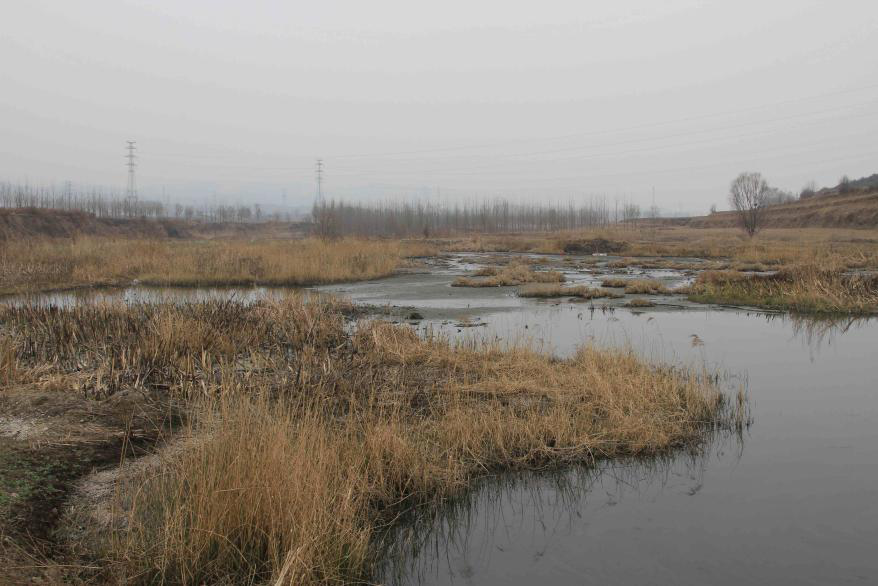 不朽情缘MG官方网站(试玩)游戏登录入口