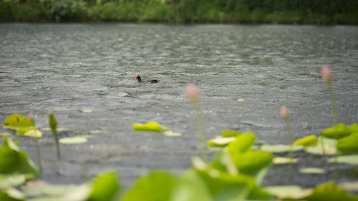 不朽情缘MG官方网站(试玩)游戏登录入口